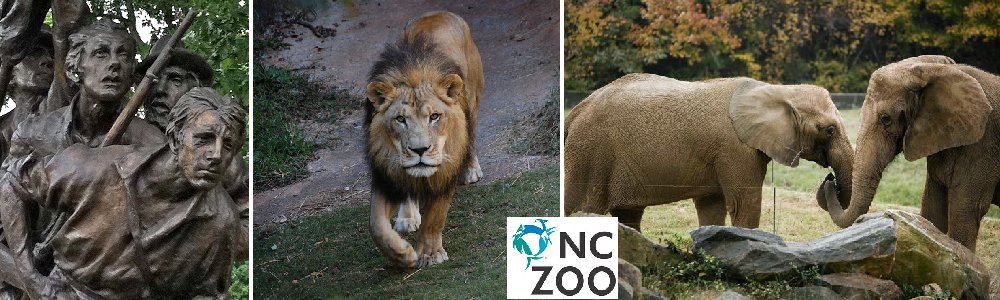 Randolph County, North Carolina